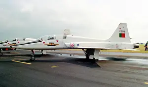 Aerea Prints: Northrop T-38A Talon 2609