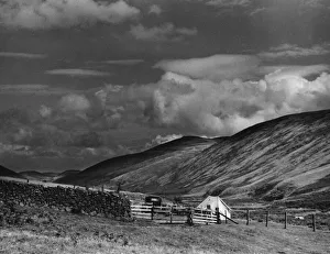 Tent Collection: Northumberland Scenery