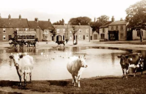 Norton, Stockton on Tees