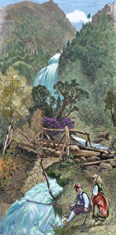 Images Dated 2005 June: 17 Jun 2005 Collection