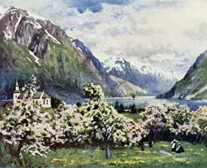 Norway / Hardangerfjord