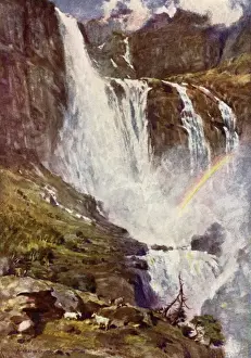 Norway / Hardangerfjord