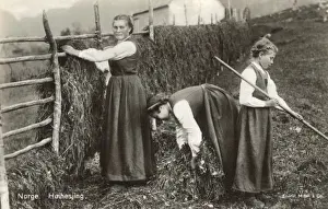 Rack Prints: Norway - Hay-Drying on racks