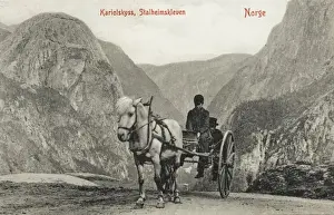 Buggy Prints: Norway - Stalheimskleven