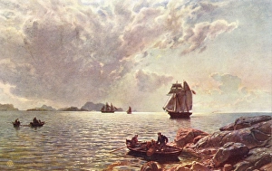 In Norwegian Fjord