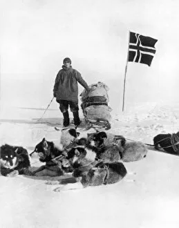 Amundsen Gallery: The Norwegian Flag at the South Pole, 1911