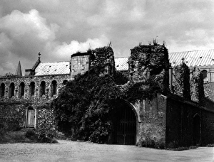 Begun Gallery: Norwich Cloisters