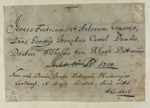 Note from Descriptiones Fruticum et Arborum Luzonis
