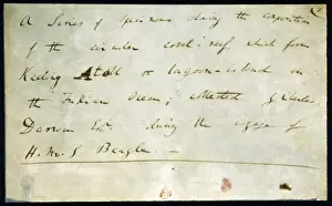 Notes made by Darwin