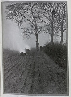 Seasons Collection: November in the Cornfields, a photographic study, by B Ward-Thompson