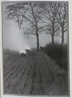 Furrows Prints: November in the Cornfields, a photographic study