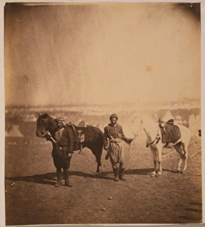 Nubian servants & horses