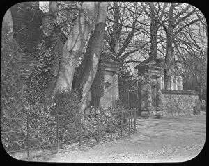 Tree Lined Collection: Nunnery Gateway