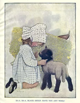Wool Collection: Nursery Rhyme -- Baa Baa Black Sheep
