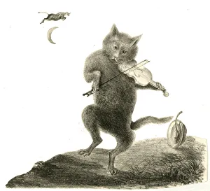 Cows Gallery: Nursery rhyme, Hey Diddle Diddle