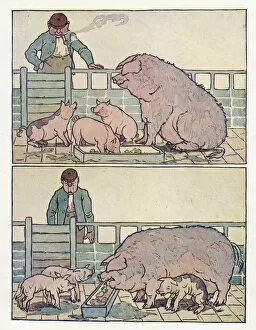 Trough Gallery: Nursery Rhymes -- man watching pigs in a sty