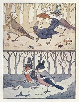 Bullfinch Collection: Nursery Rhymes -- Robin Redbreast