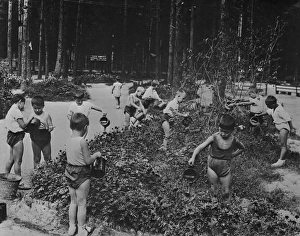 Nursery school children out of doors watering flowers in the Nursery school children out of doors watering flowers in the