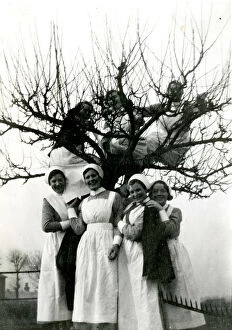 Images Dated 5th April 2017: Nurses up a tree