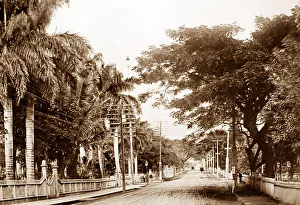 Nuuanu Avenue, Honolulu, Hawaii, USA