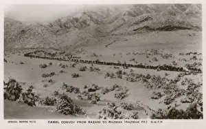 Convoy Prints: NWFP - A camel convoy (train) from Razani to Razmak