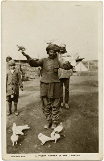 Images Dated 12th August 2016: NWFP - A carrier pigeon Trainer