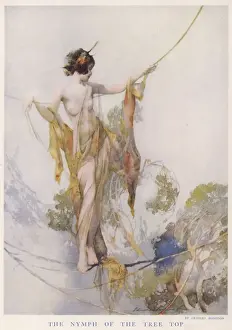 Nymph Prints: The Nymph of the Tree Top