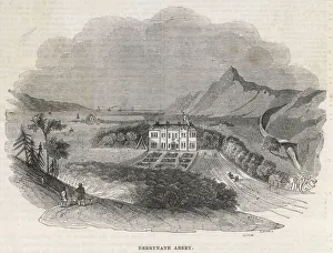 Daniel Collection: O connell / Derrynane