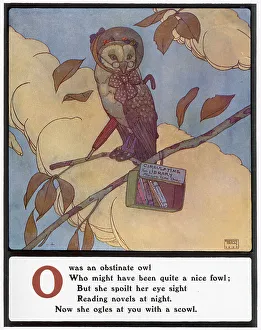 Owls Prints: O was an obstinate owl