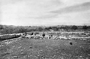 Oak grove of Mamre, Holy Land