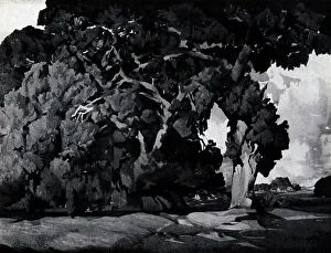 Marian Prints: Oak Tree, California