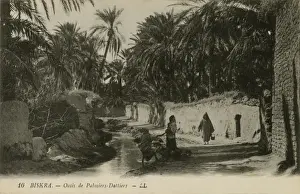 Dec15 Prints: Oasis of date-palms, Biskra