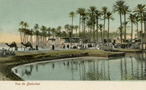 Ponds Collection: Oasis in Egypt