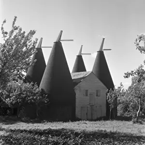 Cluster Prints: Oast Houses, East Sussex