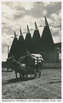 Wagon Prints: Oasthouses at Whitbreads Hop Gardens, Paddock Wood, Kent