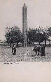 Heliopolis Prints: Obelisk at Heliopolis, Cairo, Egypt