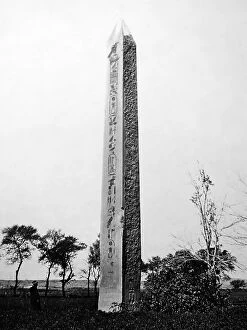 Obelisk Collection: Obelisk of On, Egypt