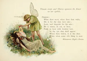 Wings Collection: Oberon & Titania