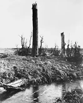 Messines Prints: Observation Post