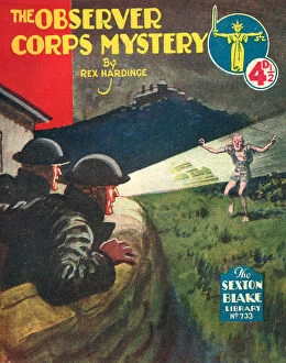 Blake Collection: The Observed Corps Mystery