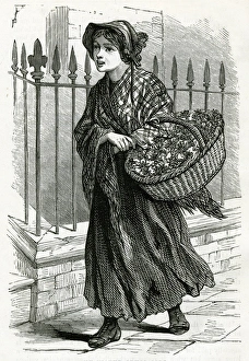 Cress Collection: Occupations 1882 - The Water Cress Girl