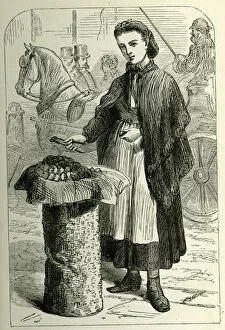 Nuts Gallery: Occupations 1882 - young woman selling walnuts