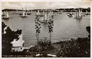 Anchored Prints: Ocean Yachts at anchor - Bermuda