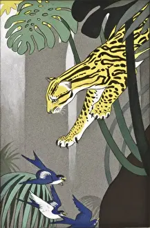 Ocelot chasing birds