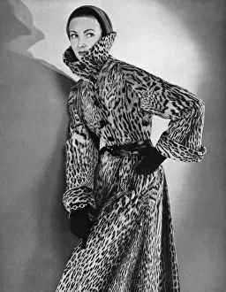 Ocelot coat, 1953