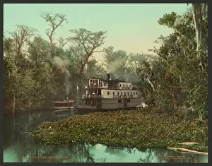 On the Ocklawaha, Florida