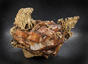 Black Background Collection: Octahedral crystals in columns, quartz matrix