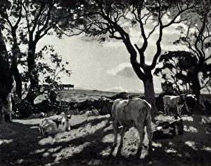 Reproduced Prints: October Morning