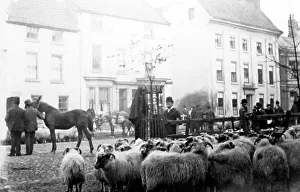 October Sheep Fair, Yarm on Tees in the early 1880s