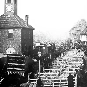 Tees Prints: October Sheep Fair, Yarm on Tees in the early 1880s